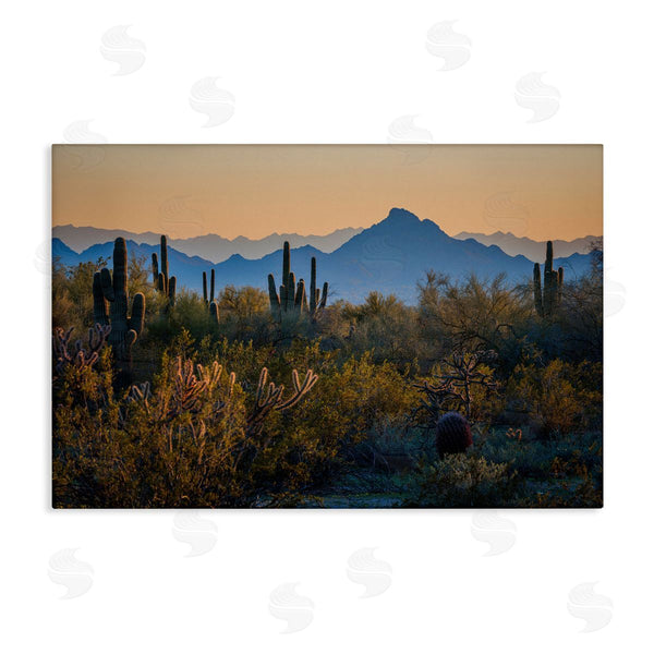 stupell industries Marty Hulsebos | Contrasting Desertscape Scene Wall Art
