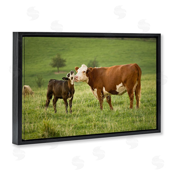Stupell Industries Marty Hulsebos | Cow & Calf Preening Wall Art
