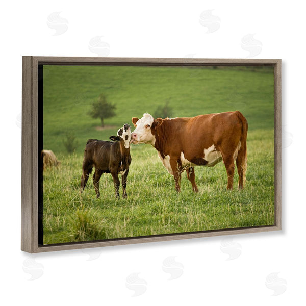 Stupell Industries Marty Hulsebos | Cow & Calf Preening Wall Art