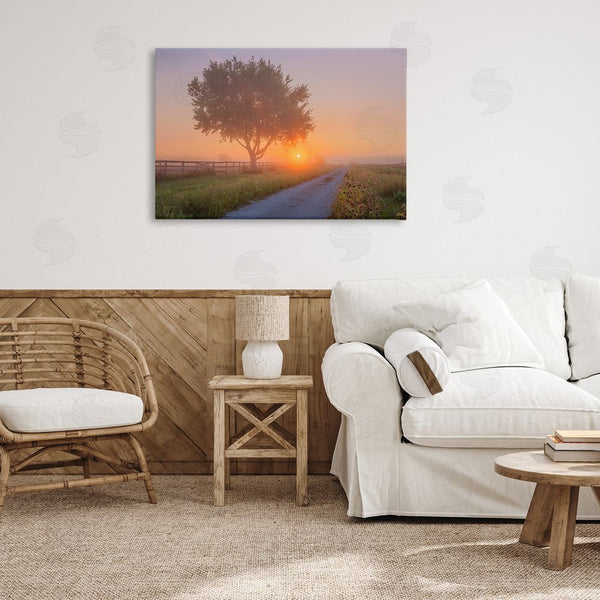 Stupell Industries Marty Hulsebos | Flower Lined Path Wall Art