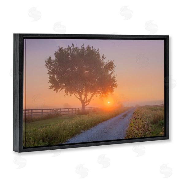 Stupell Industries Marty Hulsebos | Flower Lined Path Wall Art