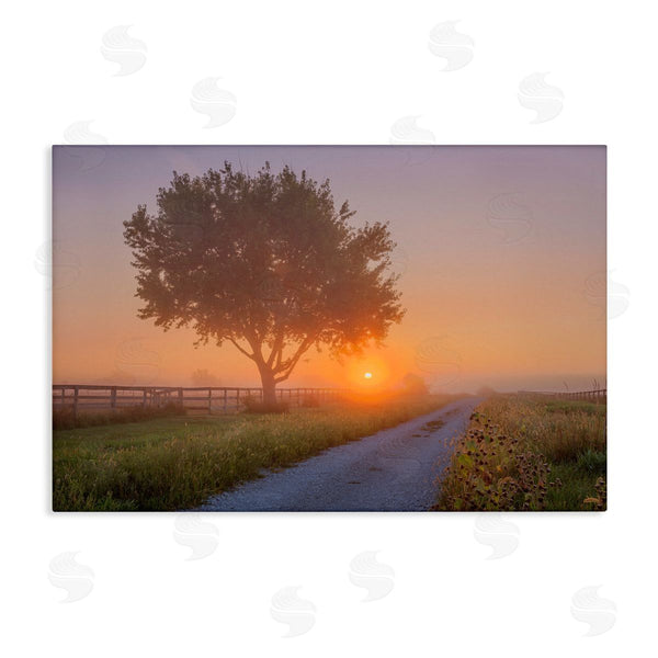 stupell industries Marty Hulsebos | Flower Lined Path Wall Art