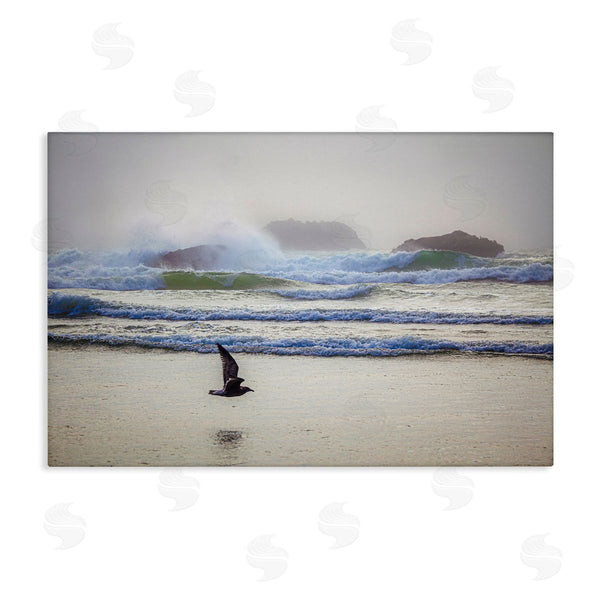 stupell industries Marty Hulsebos | Flying Low over Shore Wall Art