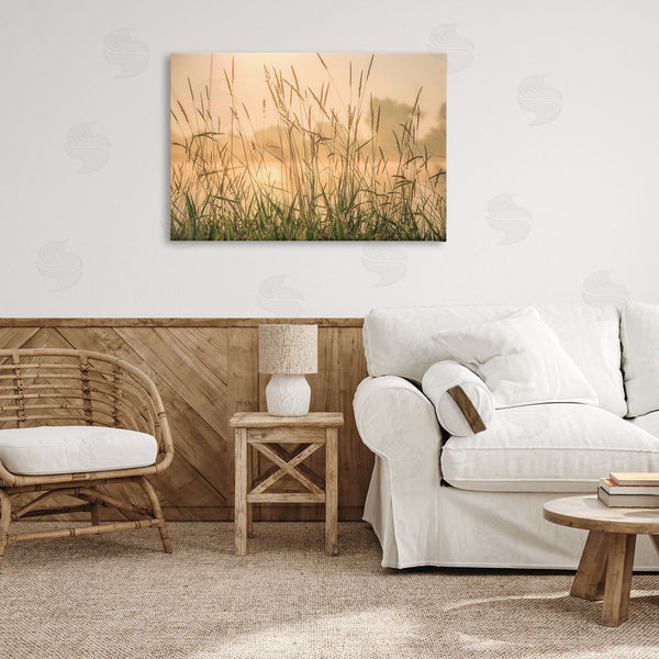 Stupell Industries Marty Hulsebos | Grassy Country Reeds Wall Art