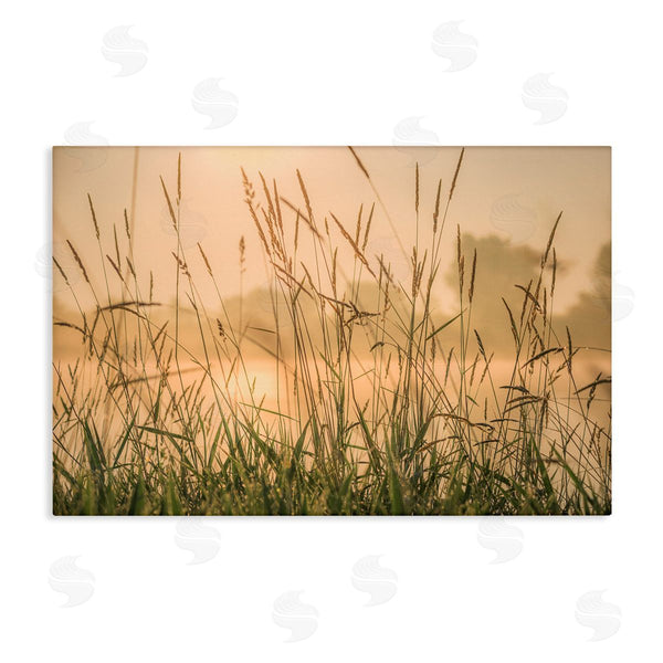 stupell industries Marty Hulsebos | Grassy Country Reeds Wall Art