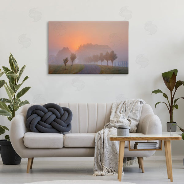 Stupell Industries Marty Hulsebos | Grove Path At Sunset Wall Art