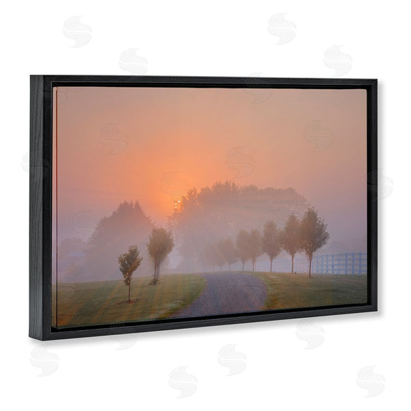 Stupell Industries Marty Hulsebos | Grove Path At Sunset Wall Art