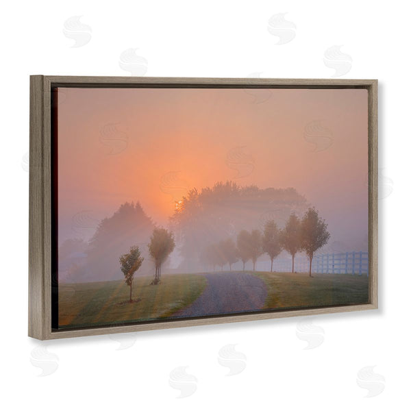 Stupell Industries Marty Hulsebos | Grove Path At Sunset Wall Art