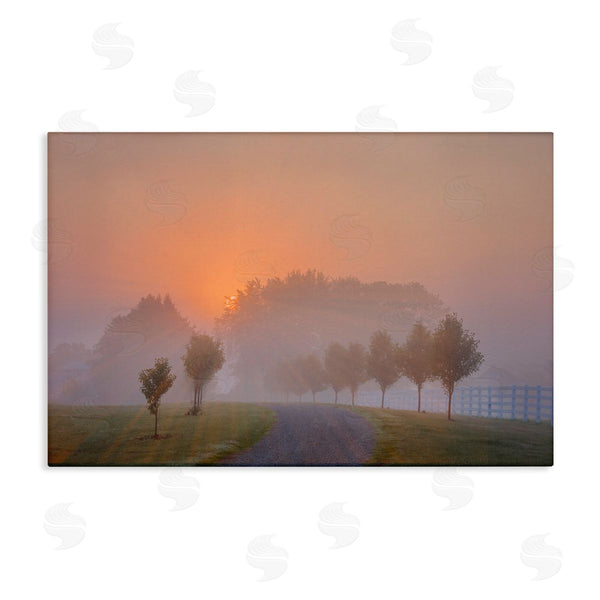 stupell industries Marty Hulsebos | Grove Path at Sunset Wall Art
