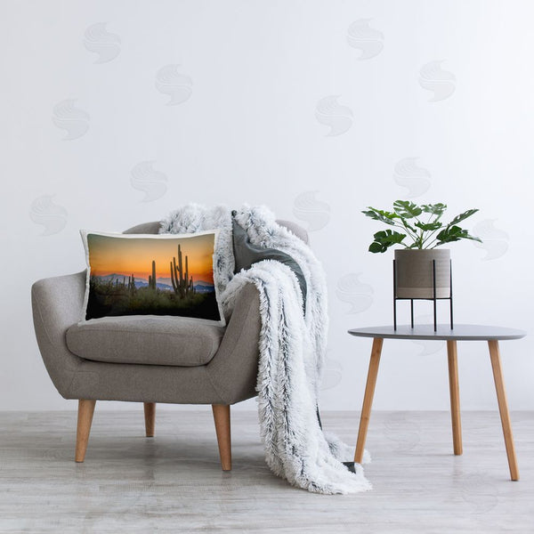 Stupell Industries Marty Hulsebos | Looming Cacti Sunset
