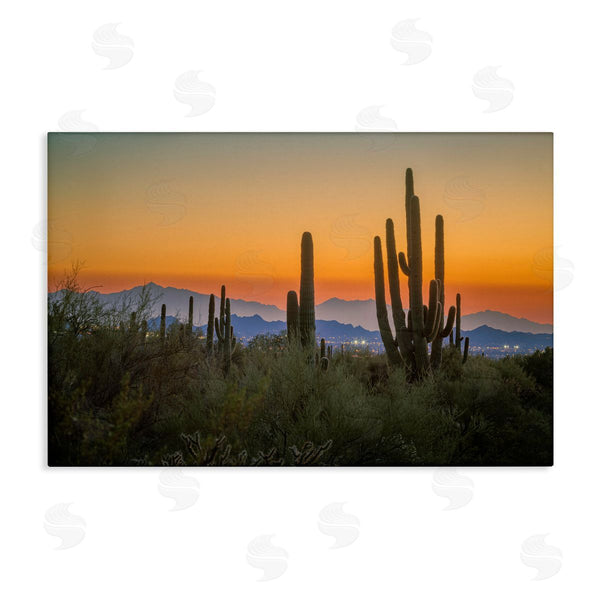 stupell industries Marty Hulsebos | Looming Cacti Sunset Wall Art