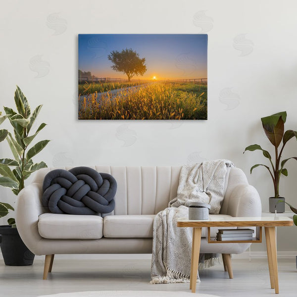 Stupell Industries Marty Hulsebos | Rising Sun Horizon Wall Art
