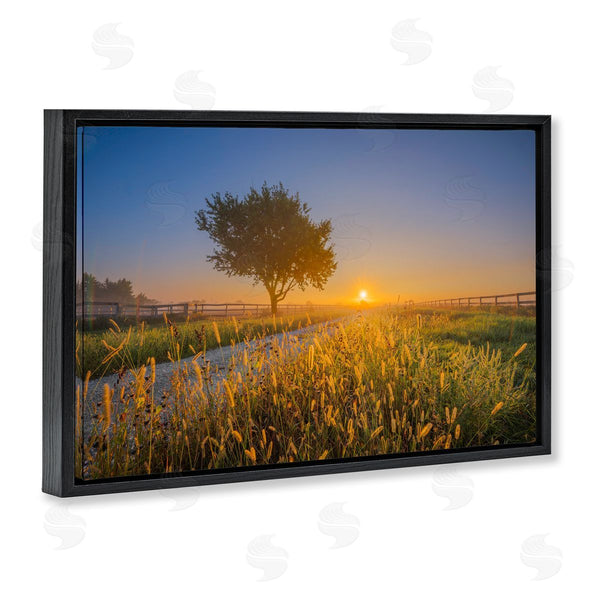 Stupell Industries Marty Hulsebos | Rising Sun Horizon Wall Art