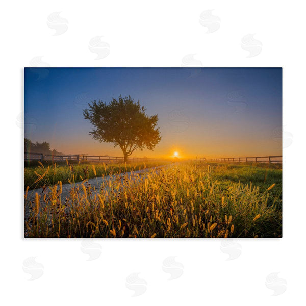 stupell industries Marty Hulsebos | Rising Sun Horizon Wall Art