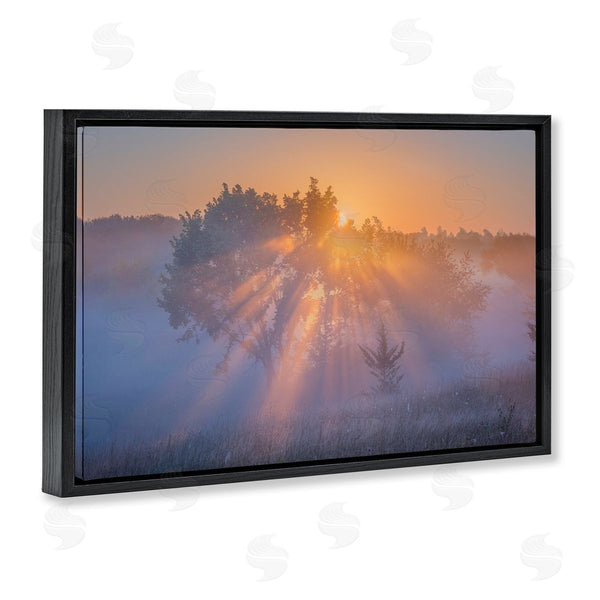 Stupell Industries Marty Hulsebos | Sun Rays Peeking Landscape Wall Art