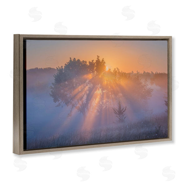 Stupell Industries Marty Hulsebos | Sun Rays Peeking Landscape Wall Art