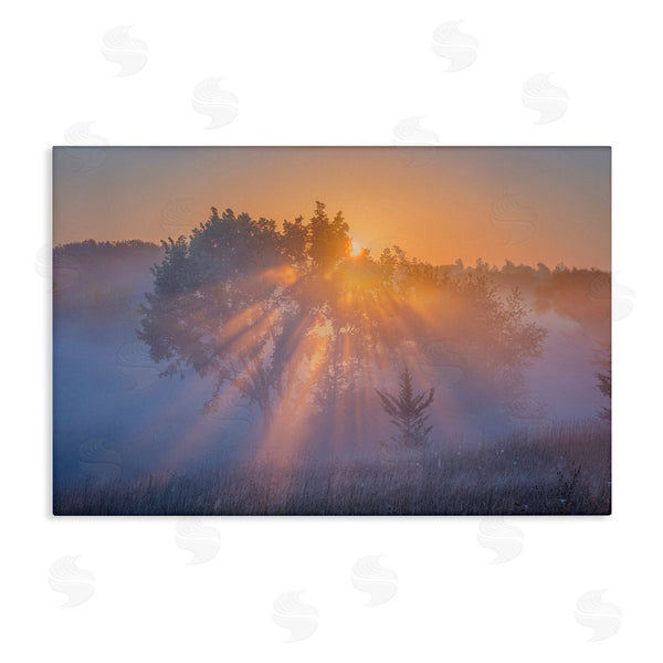 stupell industries Marty Hulsebos | Sun Rays Peeking Landscape Wall Art