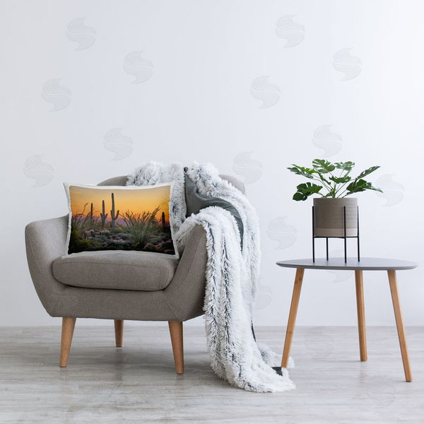 Stupell Industries Marty Hulsebos | Sunset Desertscape Cacti