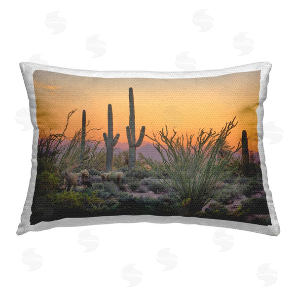 Stupell Industries Marty Hulsebos | Sunset Desertscape Cacti