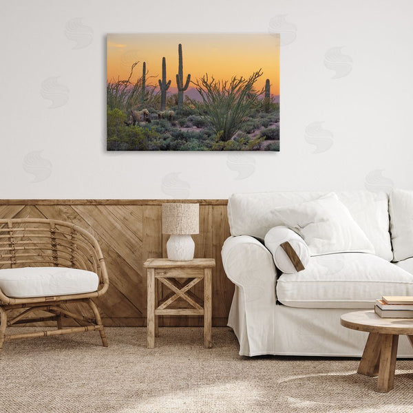 Stupell Industries Marty Hulsebos | Sunset Desertscape Cacti Wall Art