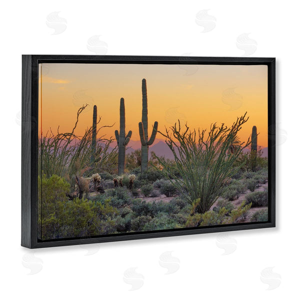 Stupell Industries Marty Hulsebos | Sunset Desertscape Cacti Wall Art