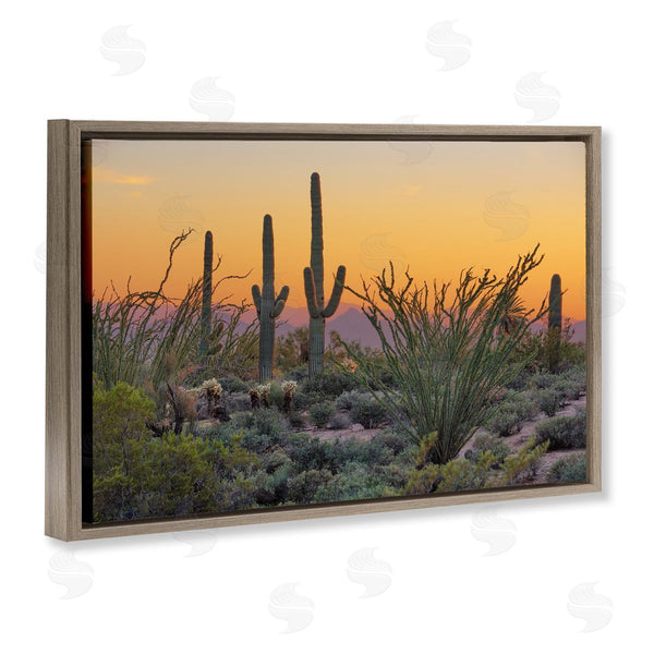 Stupell Industries Marty Hulsebos | Sunset Desertscape Cacti Wall Art