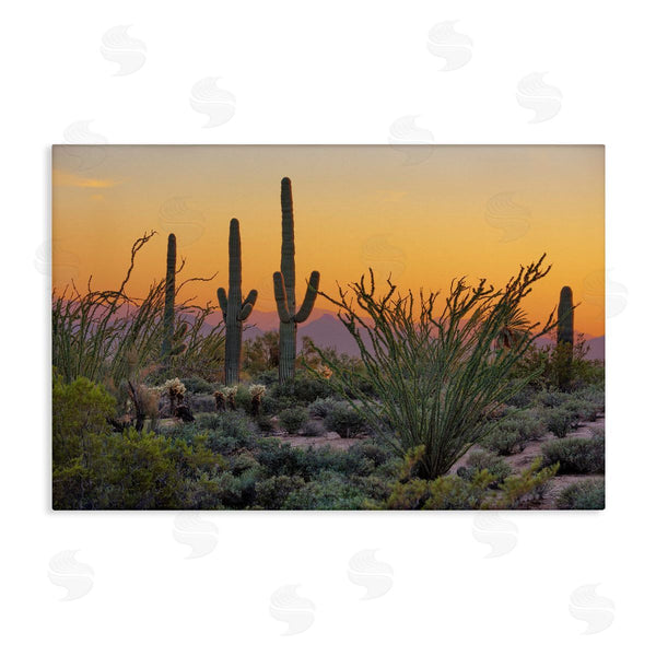 stupell industries Marty Hulsebos | Sunset Desertscape Cacti Wall Art