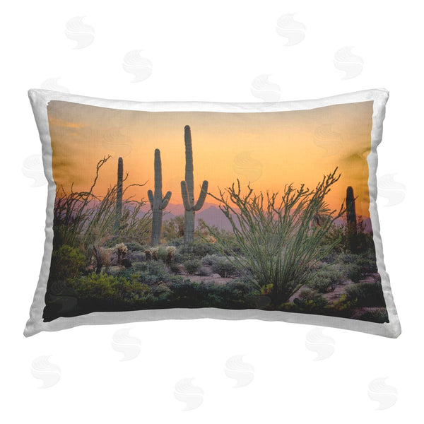 stupell industries Marty Hulsebos | Sunset Desertscape Cacti