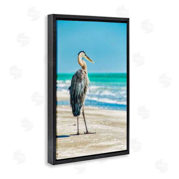 Stupell Industries Mary Lou Johnson | Reflective Beach Bird Wall Art