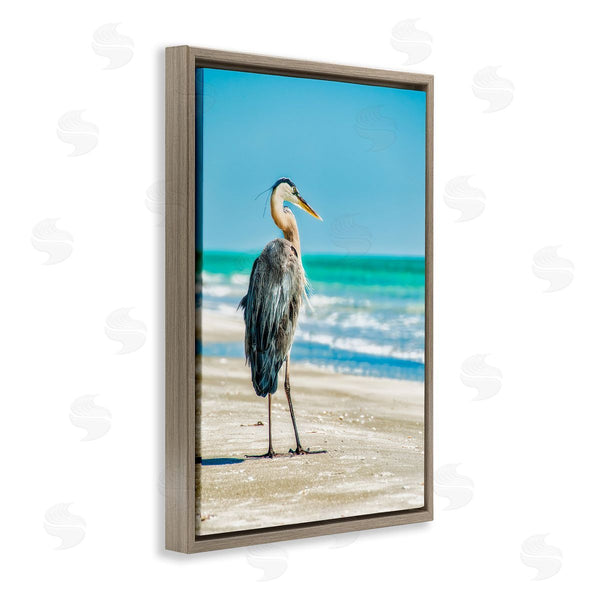 Stupell Industries Mary Lou Johnson | Reflective Beach Bird Wall Art