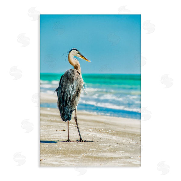 stupell industries Mary Lou Johnson | Reflective Beach Bird Wall Art