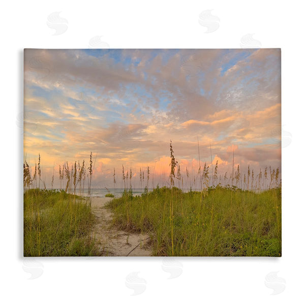 stupell industries Mary Lou Johnson | Serene Coastal Path Grasses