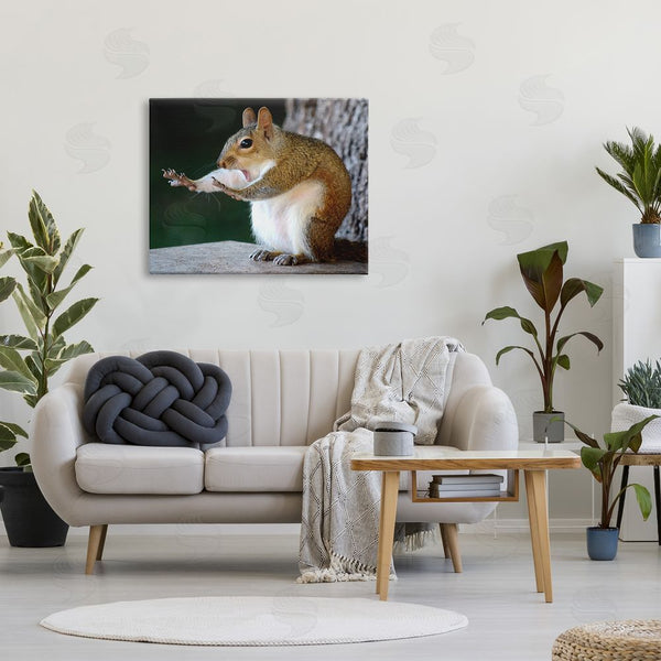 Stupell Industries Mary McGowan | Funny Shocked Pose Squirrel Wall Art