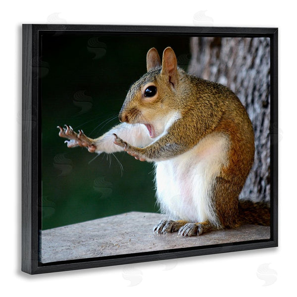 Stupell Industries Mary McGowan | Funny Shocked Pose Squirrel Wall Art