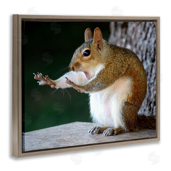Stupell Industries Mary McGowan | Funny Shocked Pose Squirrel Wall Art