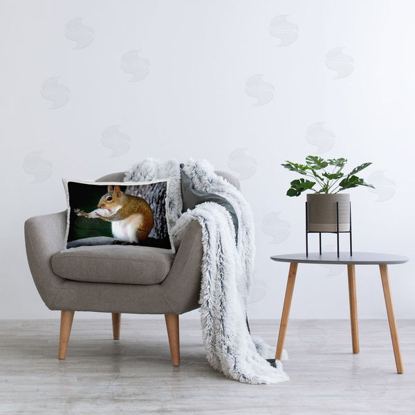 Stupell Industries Mary McGowan | Funny Squirrel Pose