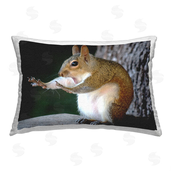 Stupell Industries Mary McGowan | Funny Squirrel Pose