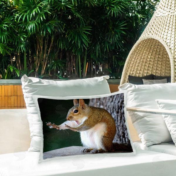 Stupell Industries Mary McGowan | Funny Squirrel Pose