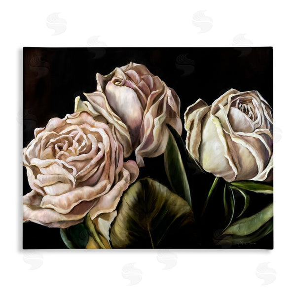 stupell industries Mary Sparrow | Fading Beauty White Roses Wall Art