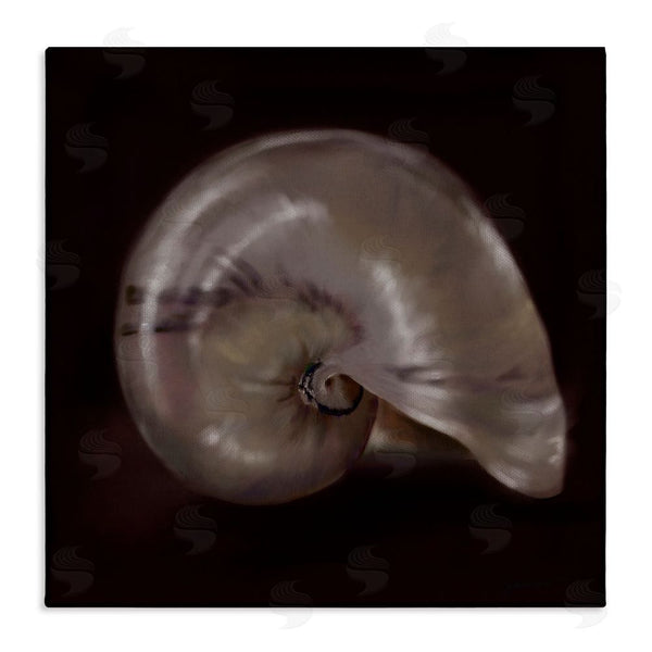 stupell industries Mary Sparrow | Seashell Treasure of Sea Wall Art