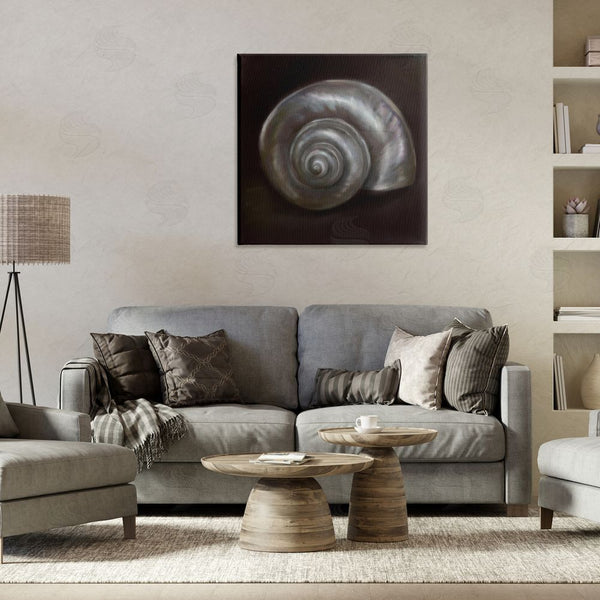 Stupell Industries Mary Sparrow | Spiral Treasure Of Sea Wall Art