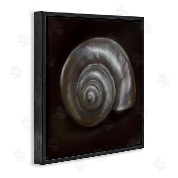 Stupell Industries Mary Sparrow | Spiral Treasure Of Sea Wall Art