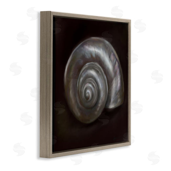 Stupell Industries Mary Sparrow | Spiral Treasure Of Sea Wall Art