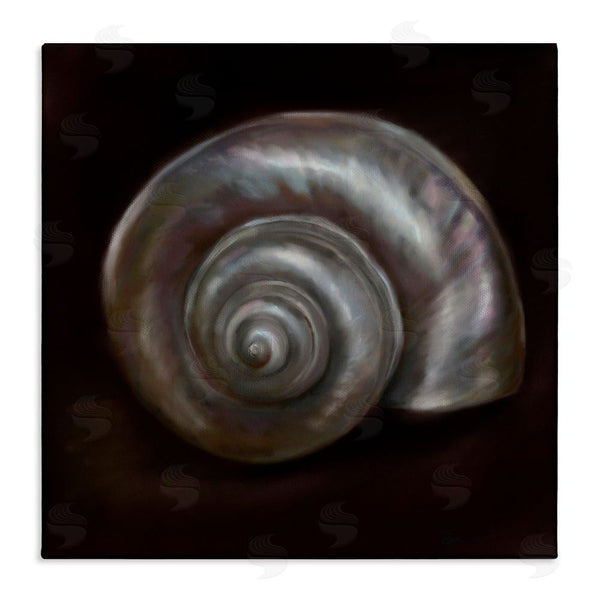 stupell industries Mary Sparrow | Spiral Treasure Of Sea Wall Art