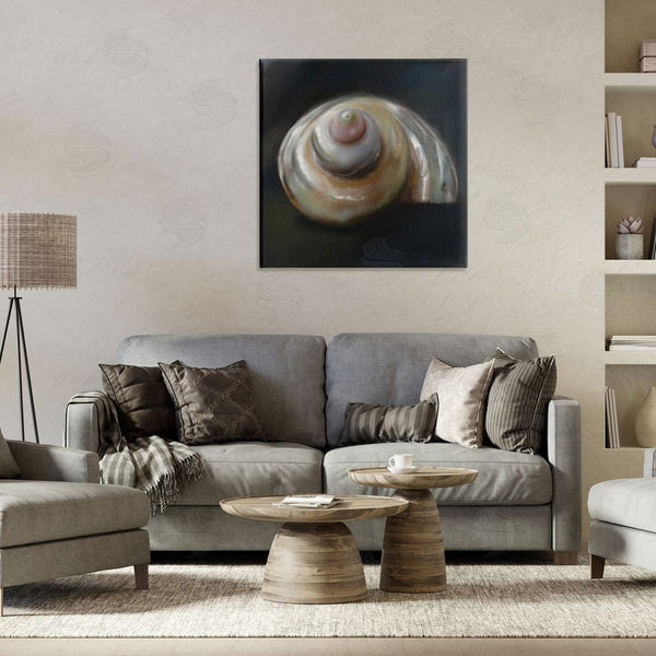 Stupell Industries Mary Sparrow | Swirled Seashell Sea Treasure Wall Art