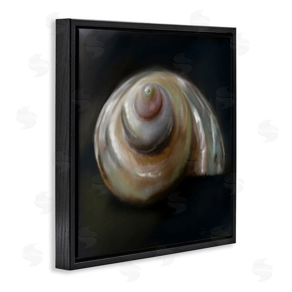 Stupell Industries Mary Sparrow | Swirled Seashell Sea Treasure Wall Art