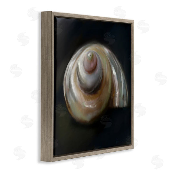 Stupell Industries Mary Sparrow | Swirled Seashell Sea Treasure Wall Art