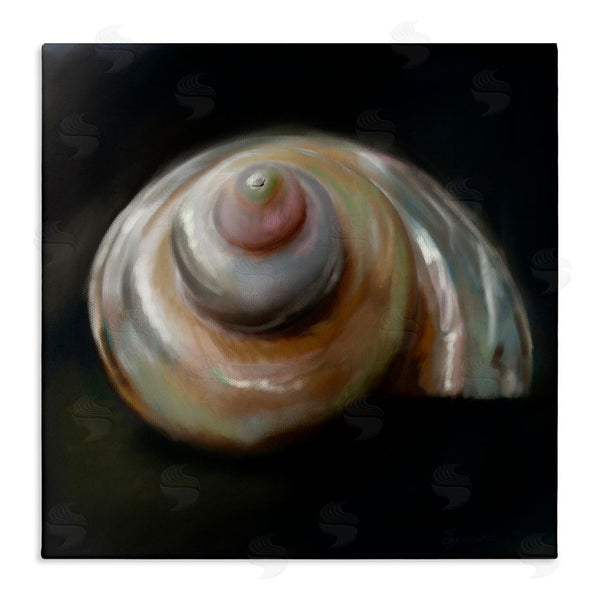 stupell industries Mary Sparrow | Swirled Seashell Sea Treasure Wall Art