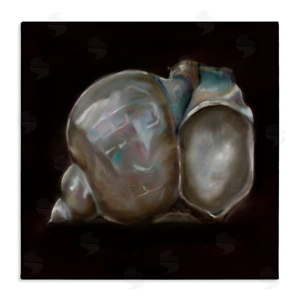 stupell industries Mary Sparrow | Treasure Of Sea Shell Wall Art