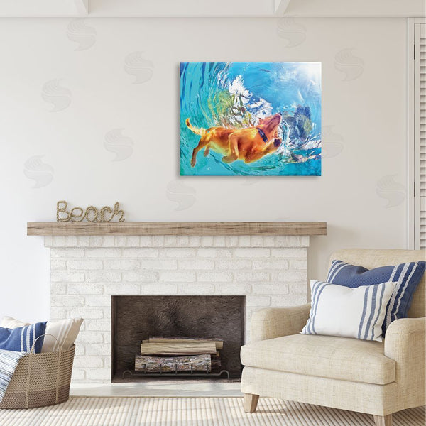 Stupell Industries Masey St. Studios | Dog Swimming Underwater Wall Art